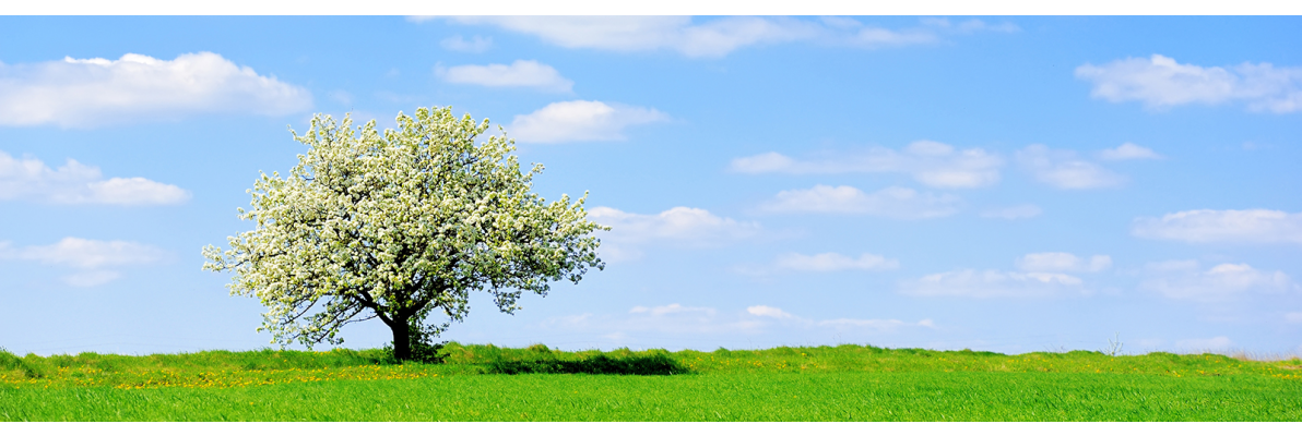 Neusklachten door hooikoorts