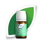VSM Arnica Montana D6 Tabletten 200 stuks