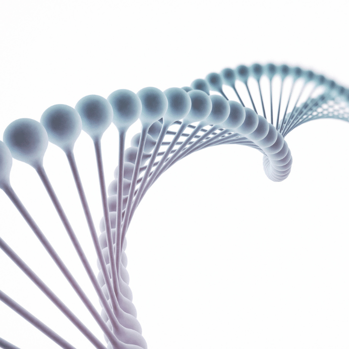 DNA profiel DNA profiel