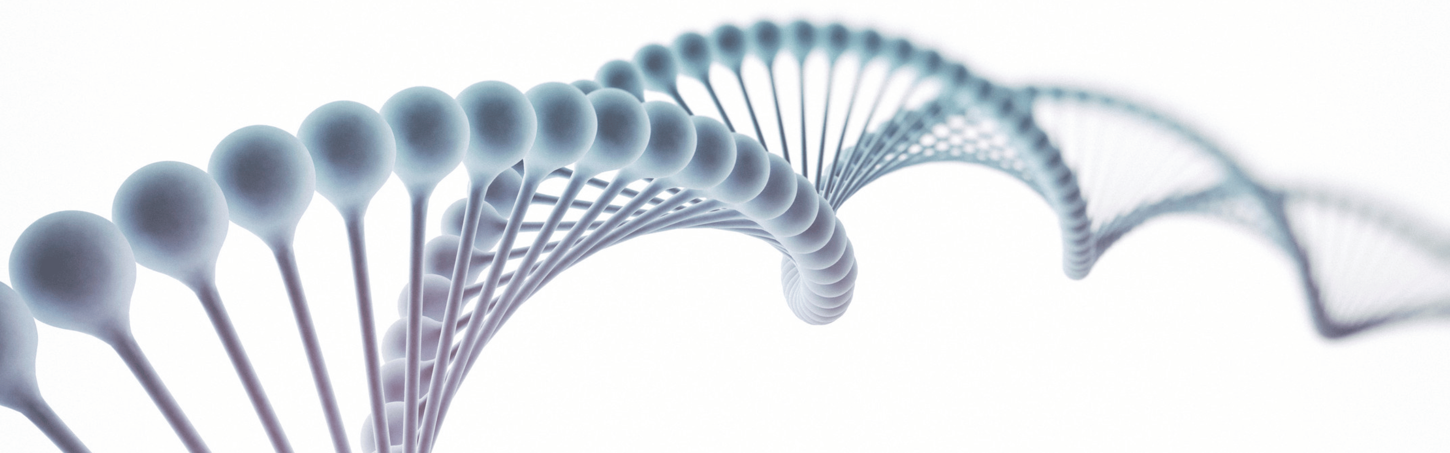 DNA profiel DNA profiel