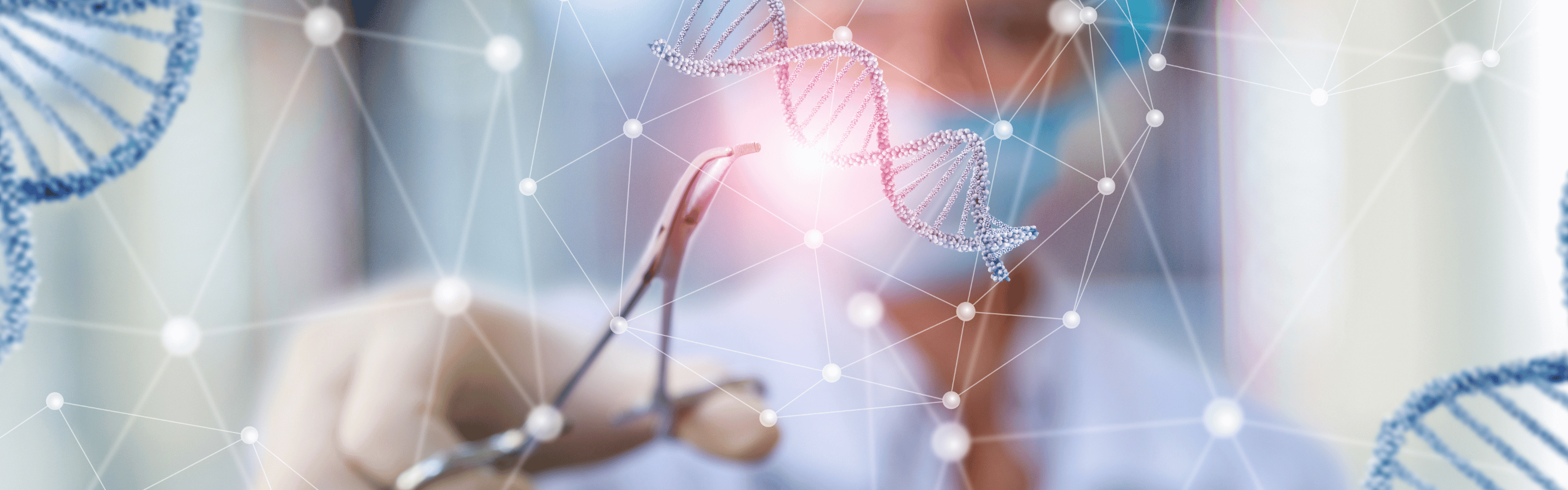 dna paspoort