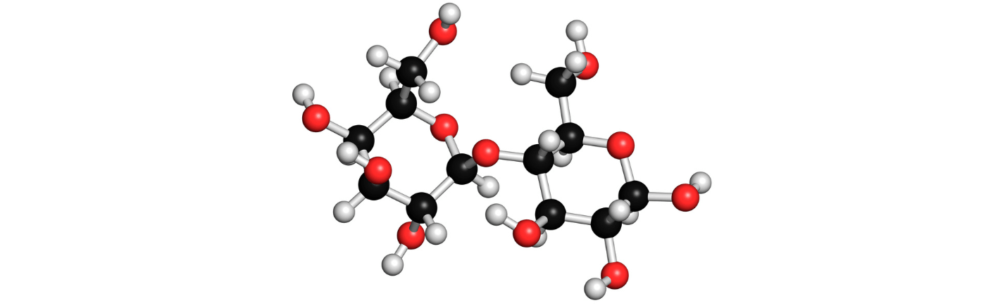 lactase supplementen kopen lactase supplementen kopen