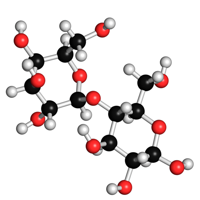 lactase supplementen kopen lactase supplementen kopen