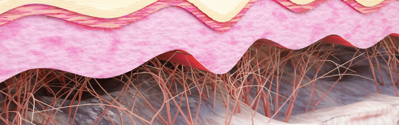 collageen kopen collageen kopen