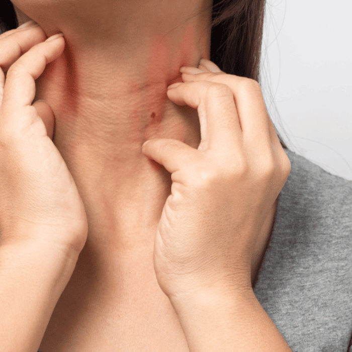 winterjeuk winterjeuk